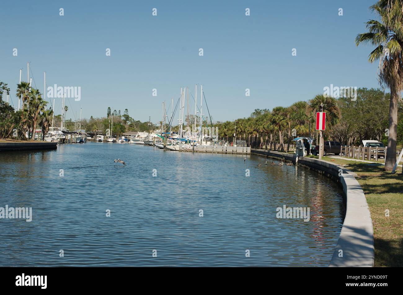 S-Kurve des Seawall auf der rechten Seite mit grünen Palmen. Rechte Seite der Ufermauer. Blick auf die Gulfport Marina an einem sonnigen Tag. Ruhiges Wasser mit Booten und Bäumen Stockfoto