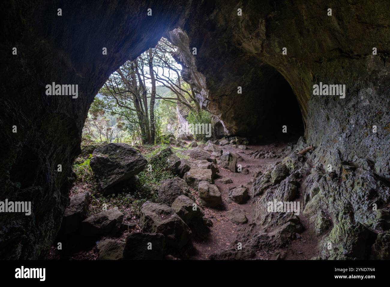 Diese Lavaröhre Furna da Maria Encantada befindet sich auf dem Kamm der Caldeira da Graciosa, Sao Mateus, Graciosa Insel, Azoren. Stockfoto