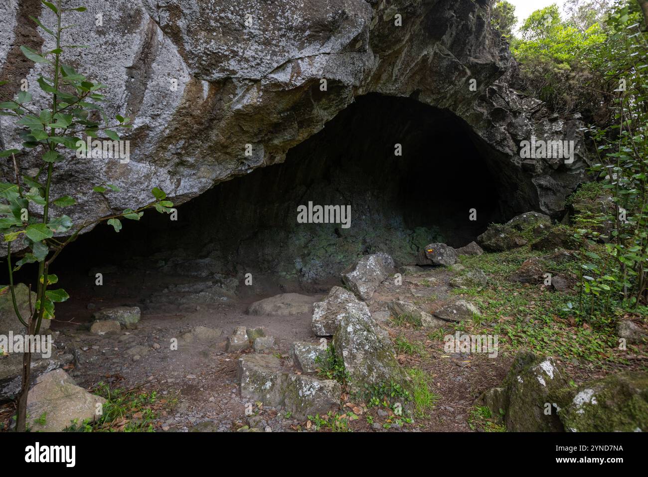 Diese Lavaröhre Furna da Maria Encantada befindet sich auf dem Kamm der Caldeira da Graciosa, Sao Mateus, Graciosa Insel, Azoren. Stockfoto