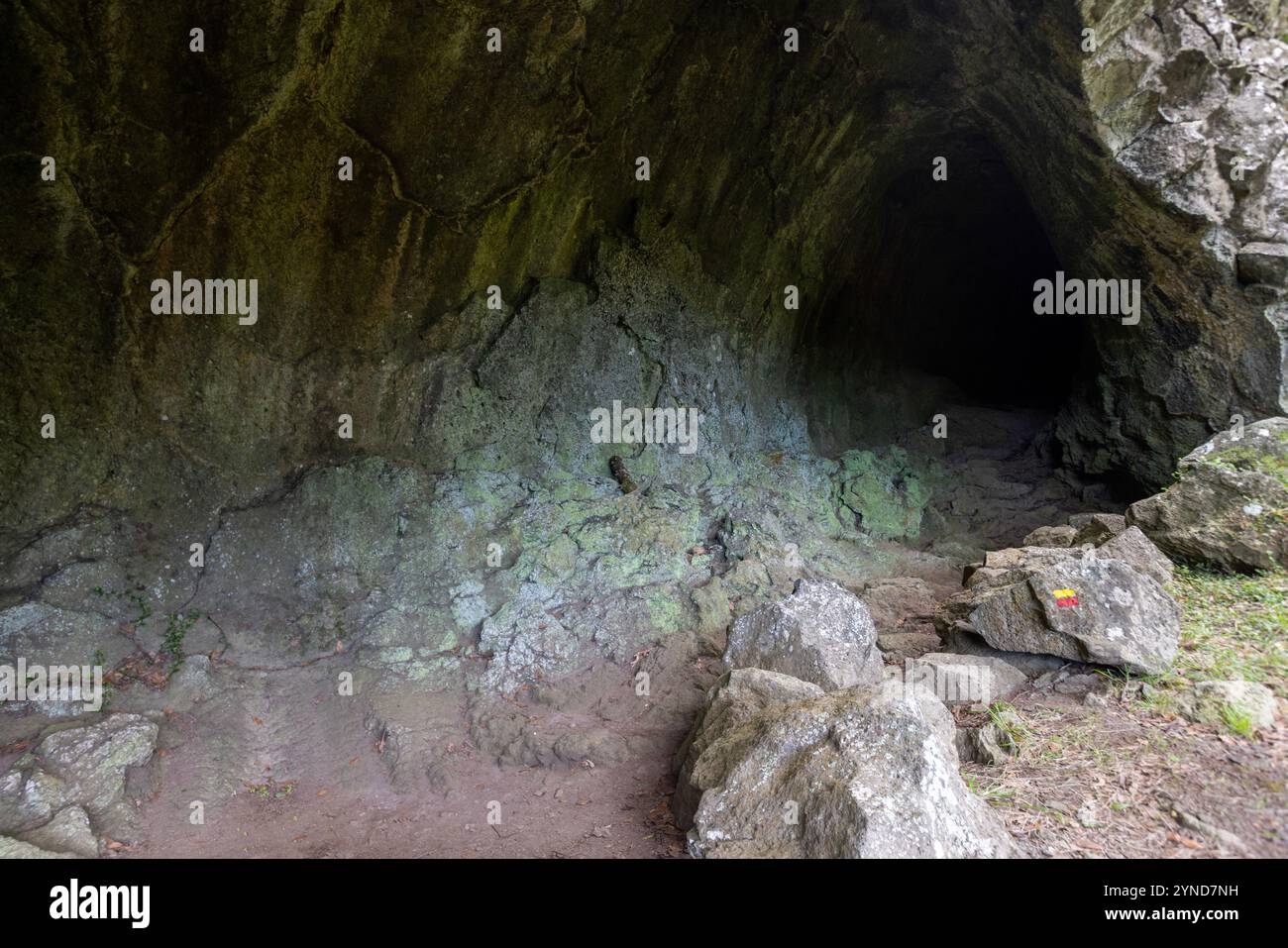Diese Lavaröhre Furna da Maria Encantada befindet sich auf dem Kamm der Caldeira da Graciosa, Sao Mateus, Graciosa Insel, Azoren. Stockfoto