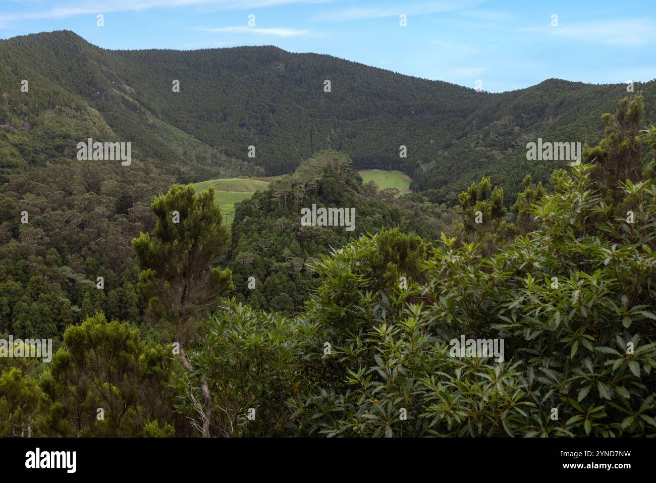 Die Furna do Enxofre, die sich im südöstlichen Teil der Caldeira da Ilha Graciosa auf der Insel Graciosa auf den Azoren befindet, ist eine beeindruckende Lavahöhle. Stockfoto
