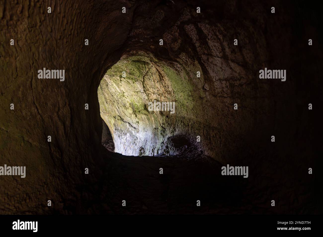 Diese Lavaröhre Furna da Maria Encantada befindet sich auf dem Kamm der Caldeira da Graciosa, Sao Mateus, Graciosa Insel, Azoren. Stockfoto