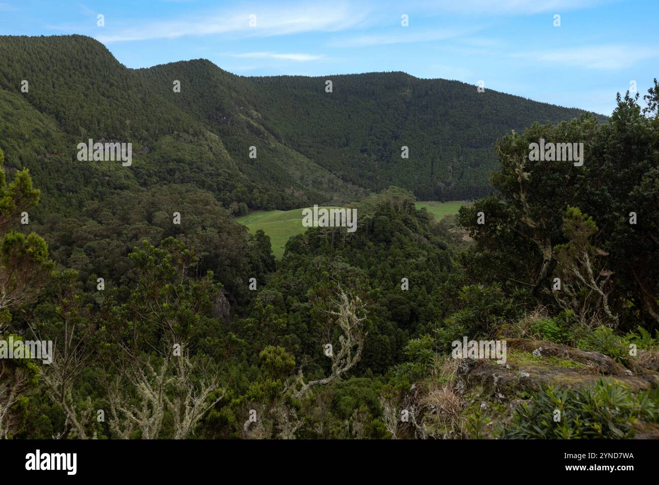 Die Furna do Enxofre, die sich im südöstlichen Teil der Caldeira da Ilha Graciosa auf der Insel Graciosa auf den Azoren befindet, ist eine beeindruckende Lavahöhle. Stockfoto