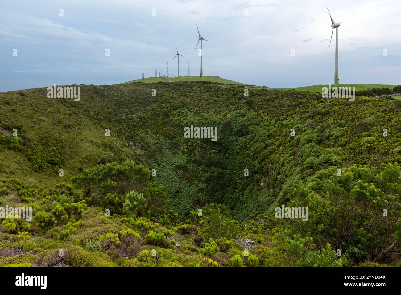 Die Caldeirinha de Pêro Botelho, auch bekannt als Algar dos Diabretes, ist eine Höhle in der Gemeinde Guadalupe, Gemeinde Santa Cruz da Gracio Stockfoto