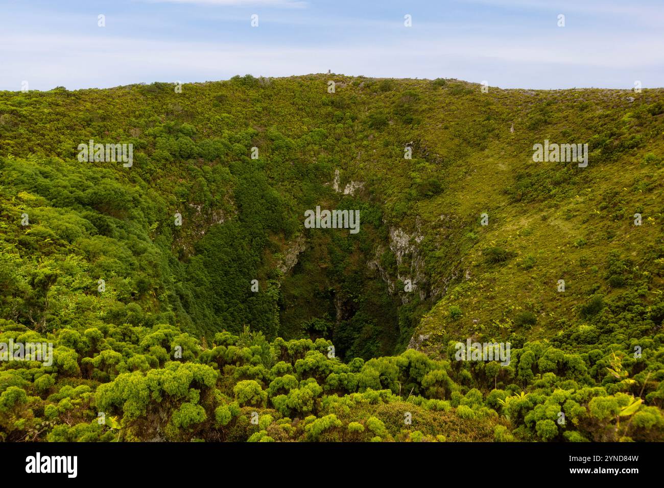 Die Caldeirinha de Pêro Botelho, auch bekannt als Algar dos Diabretes, ist eine Höhle in der Gemeinde Guadalupe, Gemeinde Santa Cruz da Gracio Stockfoto
