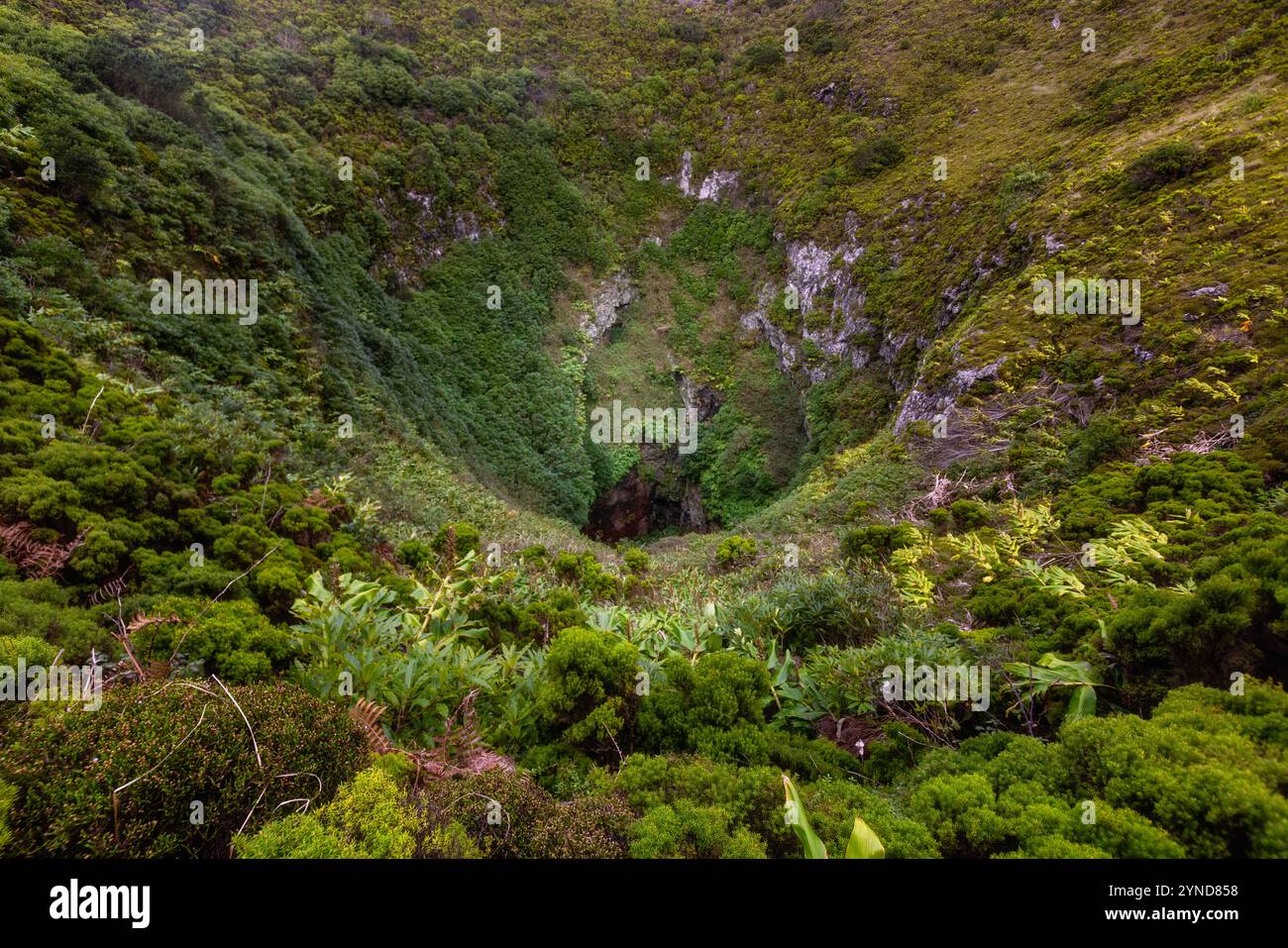 Die Caldeirinha de Pêro Botelho, auch bekannt als Algar dos Diabretes, ist eine Höhle in der Gemeinde Guadalupe, Gemeinde Santa Cruz da Gracio Stockfoto