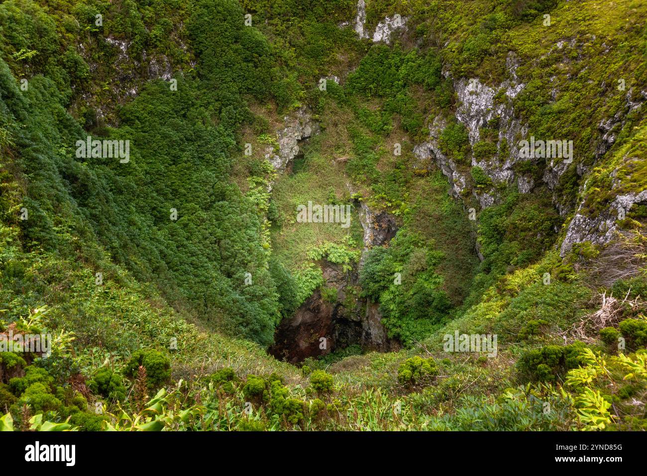 Die Caldeirinha de Pêro Botelho, auch bekannt als Algar dos Diabretes, ist eine Höhle in der Gemeinde Guadalupe, Gemeinde Santa Cruz da Gracio Stockfoto