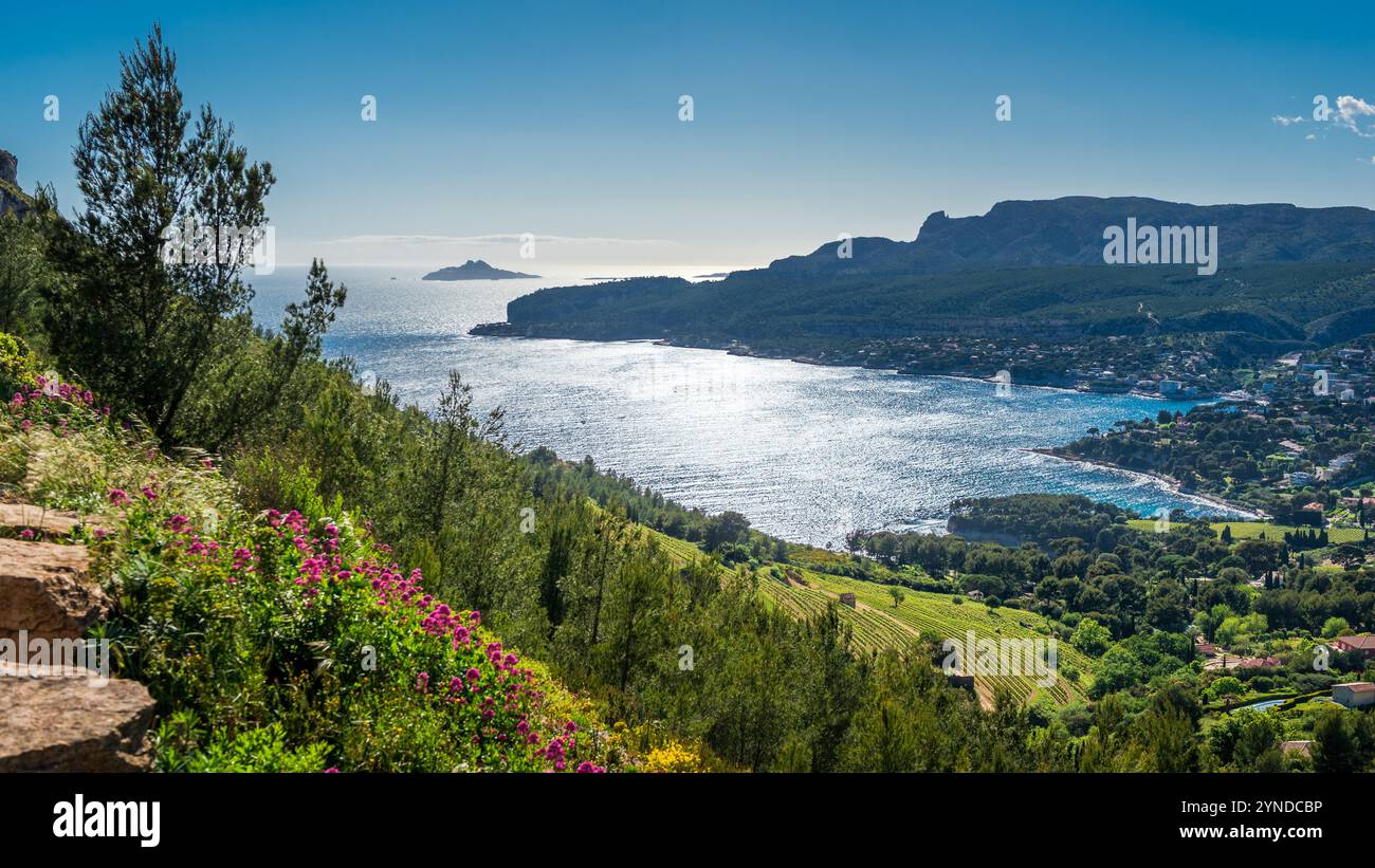 Blick auf die Bucht von Cassis vom Aussichtspunkt Cap Canaille, Frankreich Stockfoto