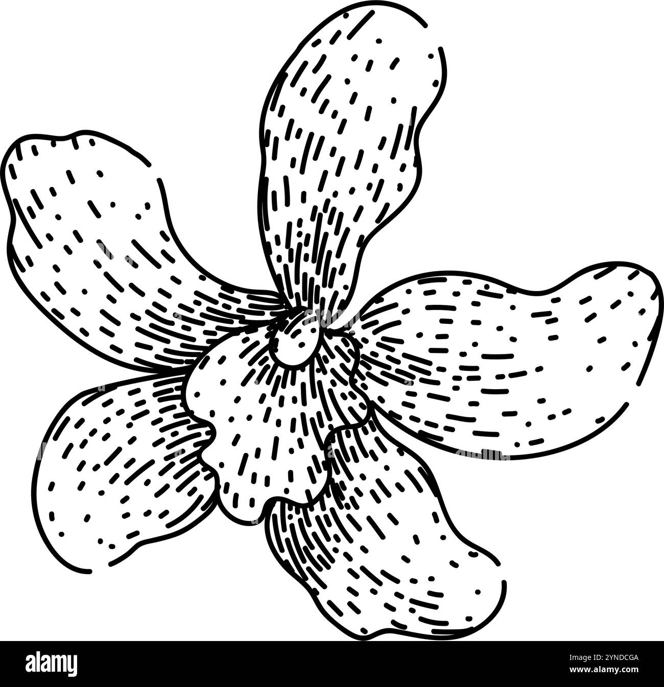 phalaenopsis Orchideenskizze handgezeichneter Vektor Stock Vektor