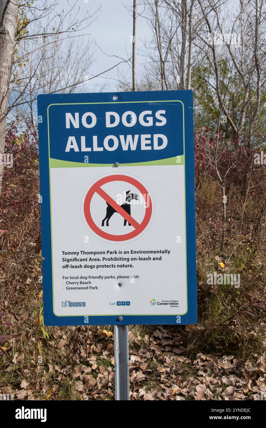 Verbotsschild, das keine Hunde im Tommy Thompson Park in Scarborough, Toronto, Ontario, Kanada erlaubt Stockfoto