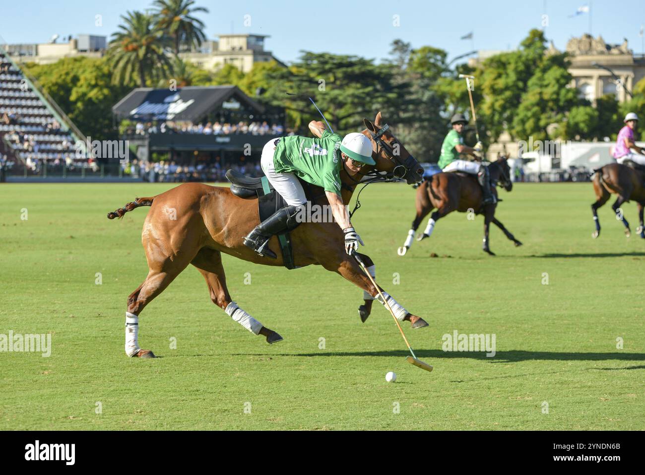 Bartolome Castagnola vom Team La Natividad spielte gegen Indios Chapaleufu bei der 131. Argentinischen Open Polomeisterschaft (Spanisch Campeonato Argen) Stockfoto