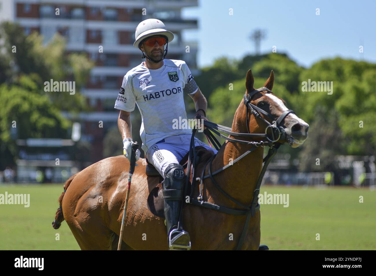 Pablo Pieres, genannt Polito, vom La Hache Polo Team, bei der 131. Argentinischen Open Polo Meisterschaft (Spanisch Campeonato Argentino Abierto de Polo) Stockfoto