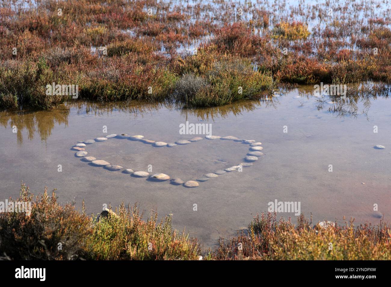 Herz aus Steinen, die im Wasser geformt wurden Stockfoto
