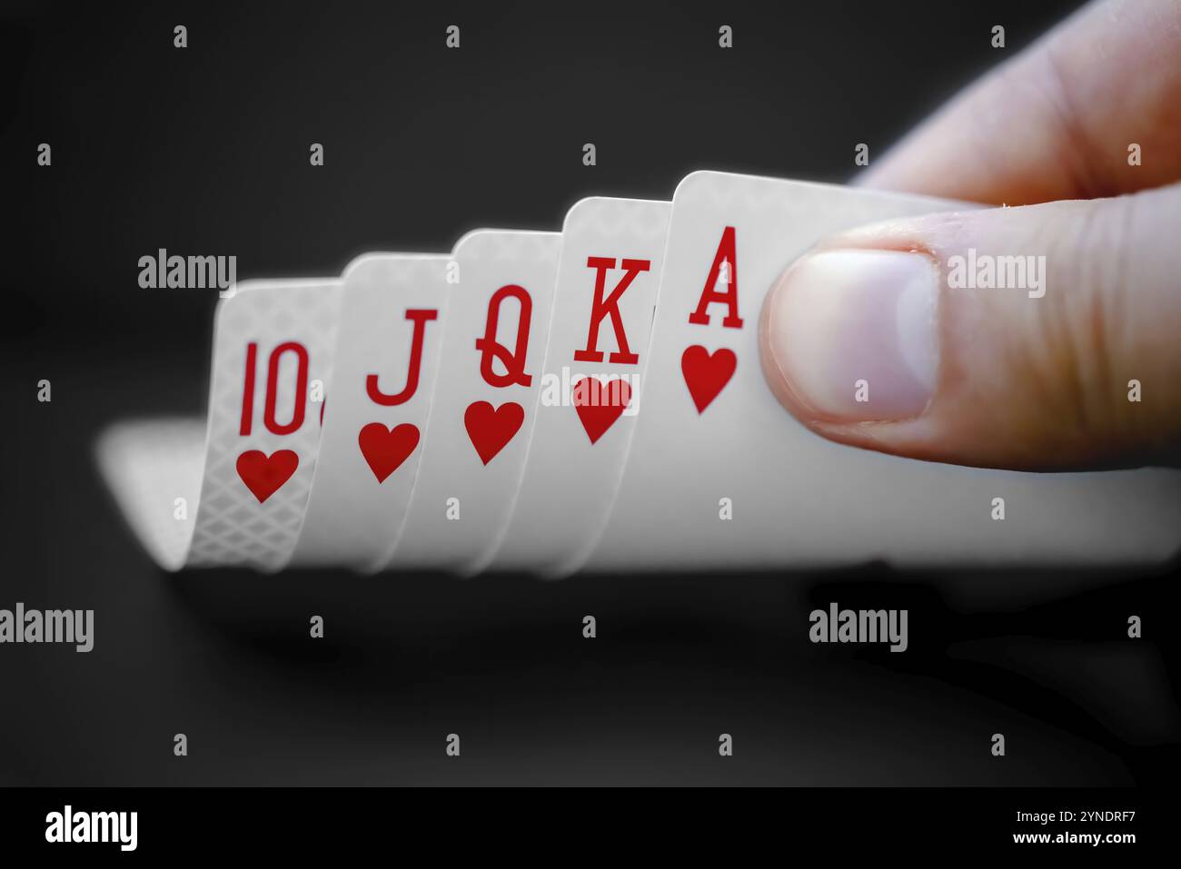 Eine Person, die auf einen Royal Flush ein Ass-hohe Straight Flush, die bestmögliche Hand in vielen Varianten des Poker Stockfoto