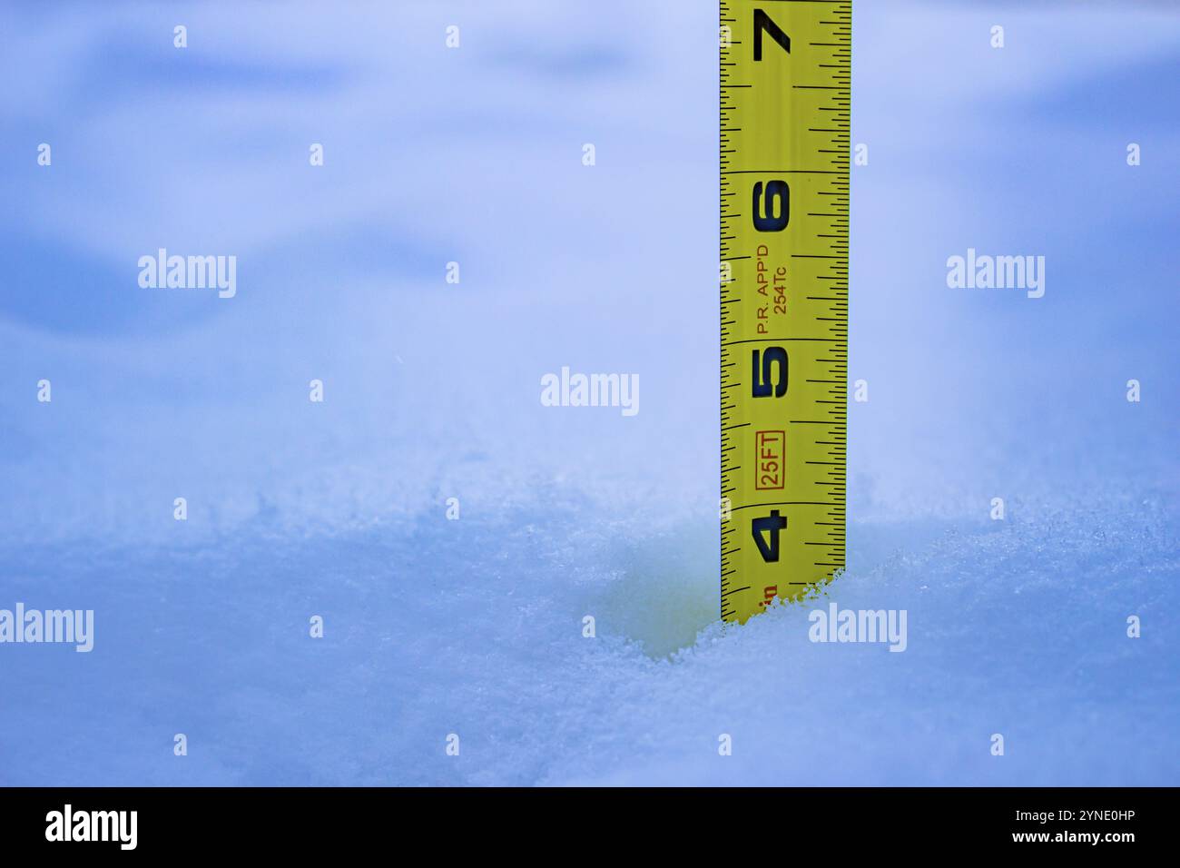 Messung der Schneehöhe mit gelbem Lineal 4 Fuß Stockfoto