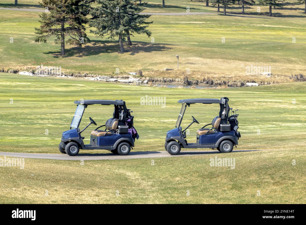 Ein paar elektrische Golfwagen auf einem Golffeld Stockfoto