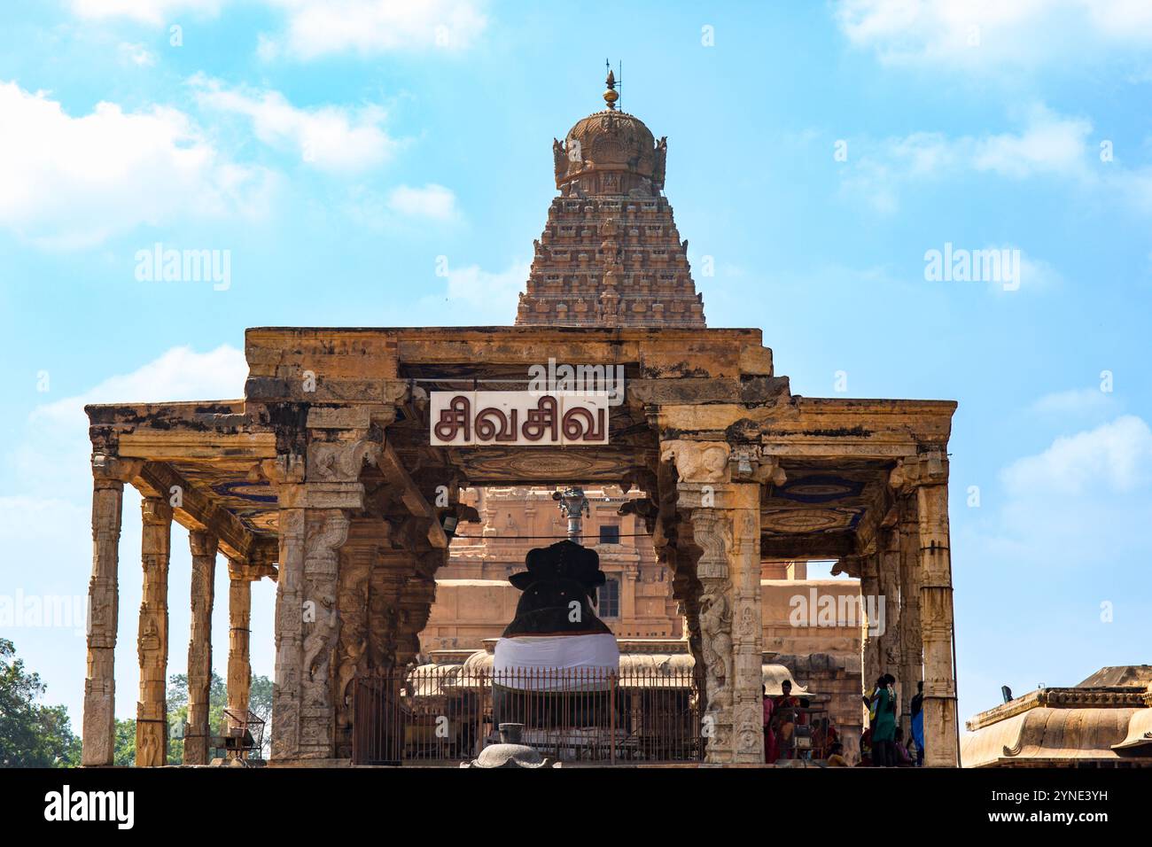 Ein herrlicher Blick auf das Nandi Mandapam in Tanjai Periya Koil, das seine Pracht und spirituelle Bedeutung zeigt, umgeben von dem reichen CH des Tempels Stockfoto