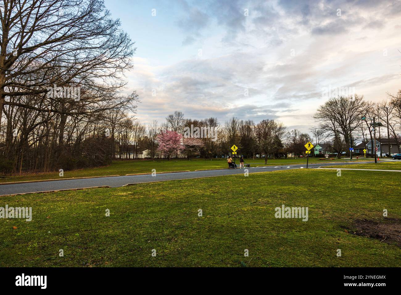 Malerische Frühlingsparklandschaft in New Jersey mit blühenden Kirschbäumen, grünem Rasen, Wanderwegen und Spaziergängen. New Jersey. USA. Stockfoto