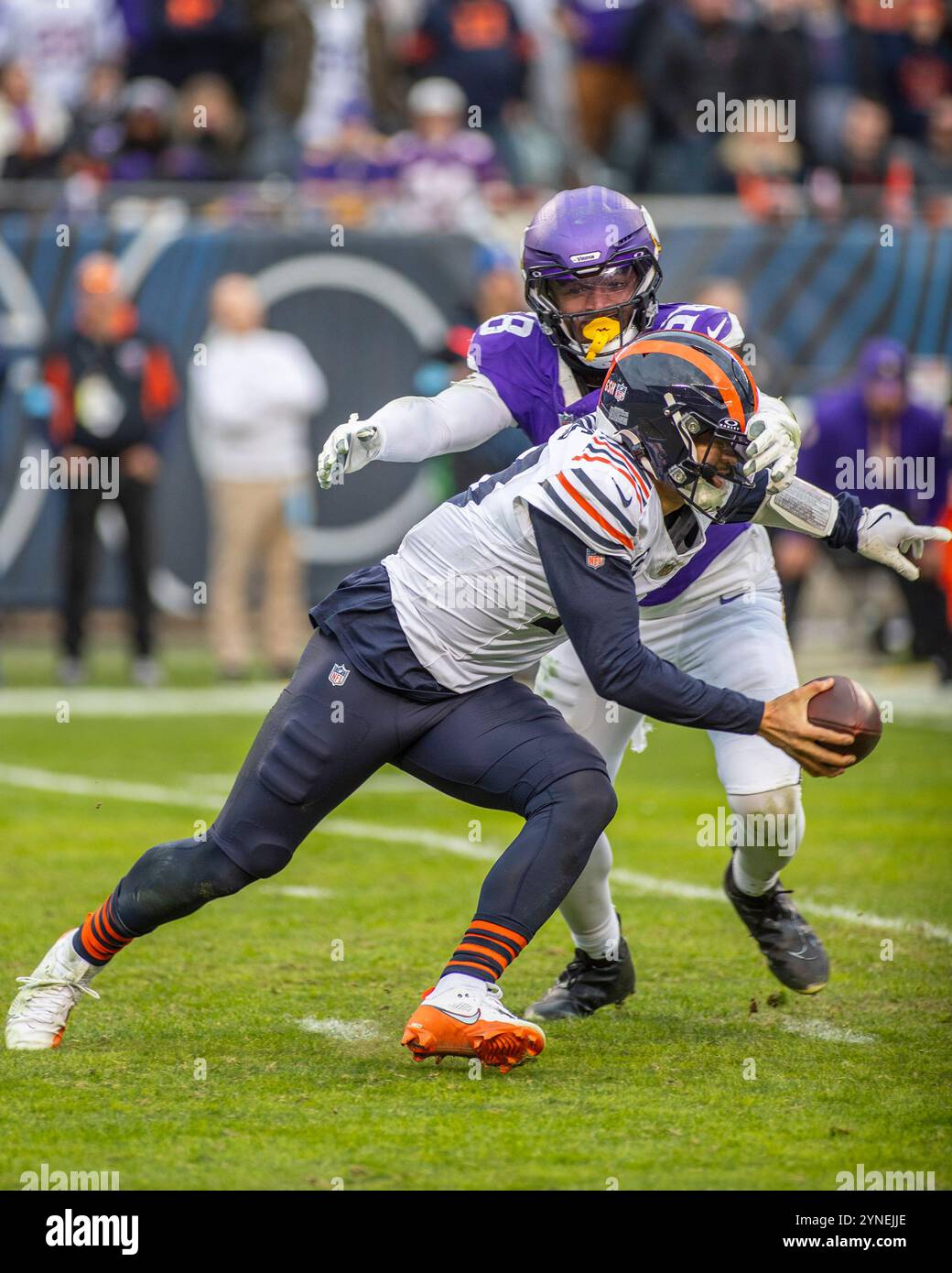 Chicago, IL, USA. November 2024. Chicago Bears Quarterback #18 Caleb Williams wird von Minnesota Vikings #58 Jonathan Greenard während des Spiels in Chicago, IL, entlassen. Mike Wulf/CSM (Bild: © Mike Wulf/Cal Sport Media). Quelle: csm/Alamy Live News Stockfoto