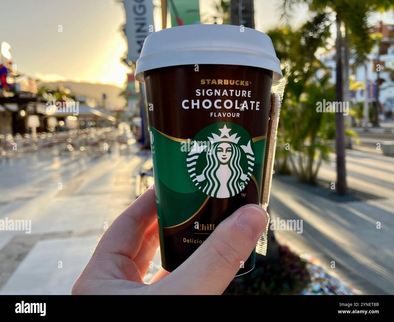 Starbucks Signature – Gekühltes Getränk Mit Schokoladengeschmack. Playa de las Américas, Arona, Teneriffa, Kanarische Inseln, Spanien. Februar 2023. - Smartphone-aufgenommenes Stockfoto