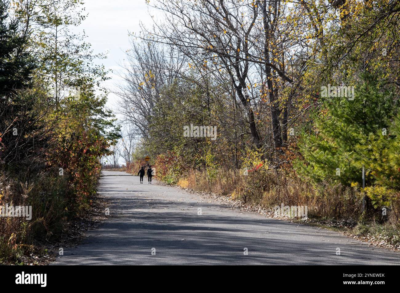 Great Lakes Trail im Tommy Thompson Park in Scarborough, Toronto, Ontario, Kanada Stockfoto