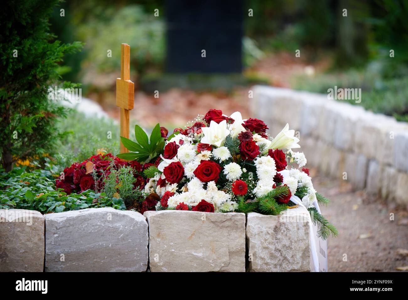 Begräbnisblumen aus roten Rosen und weißen Dahlien und Lilien mit weißem Band auf einem Urnengrab in einem modernen Begräbnisgarten Stockfoto