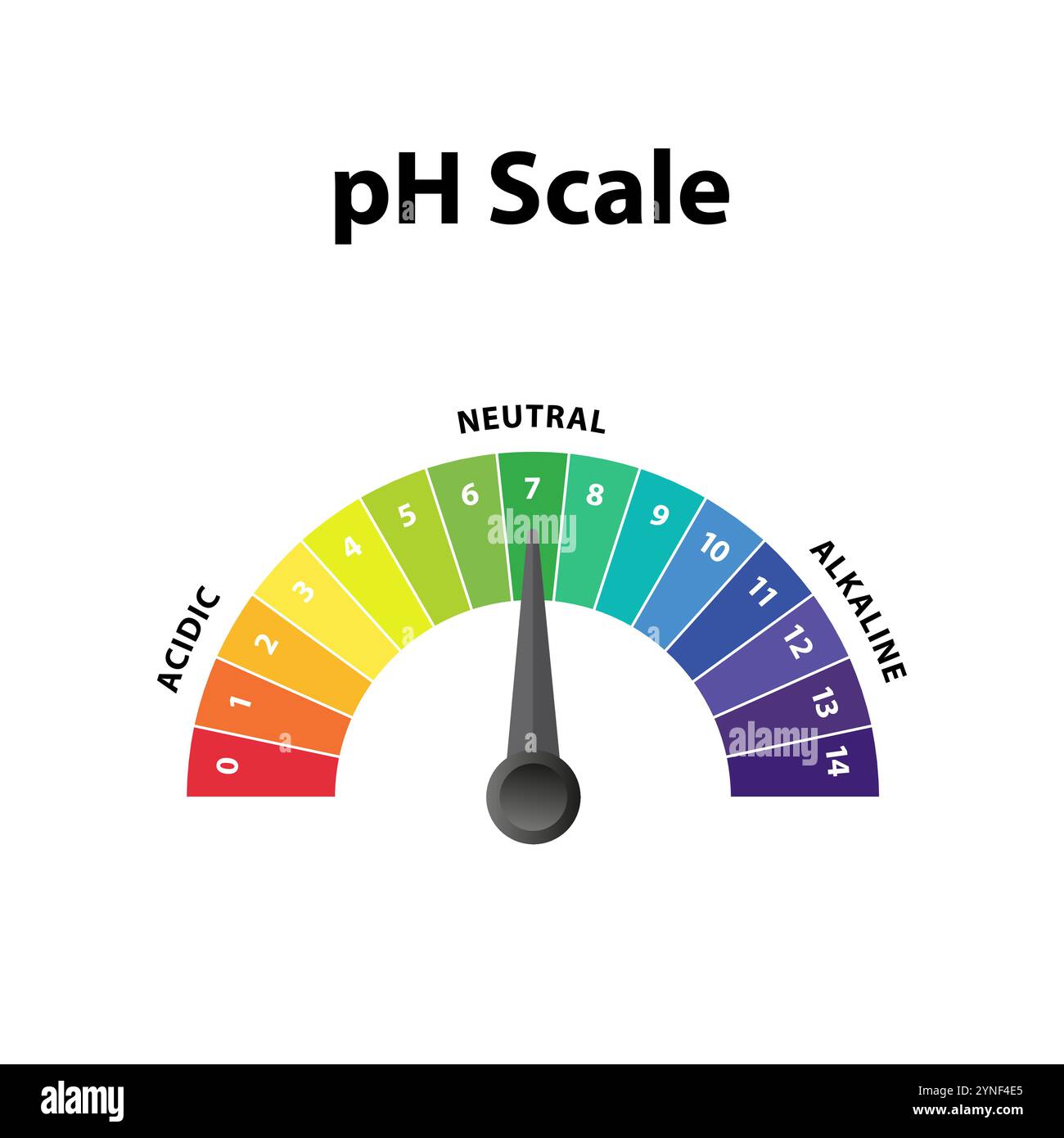 Anzeigediagramm für farbenfrohe Ph-Pegel-Skala. Alkalische, neutrale, saure Lösung. Stock Vektor