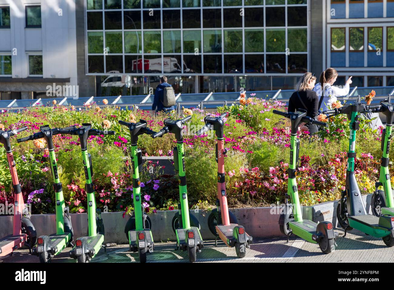 Oslo Norwegen, rote und grüne batteriebetriebene Motorroller zur Vermietung für Stadtrundfahrten, Oslo Stadtzentrum, Norwegen, 2024 Stockfoto