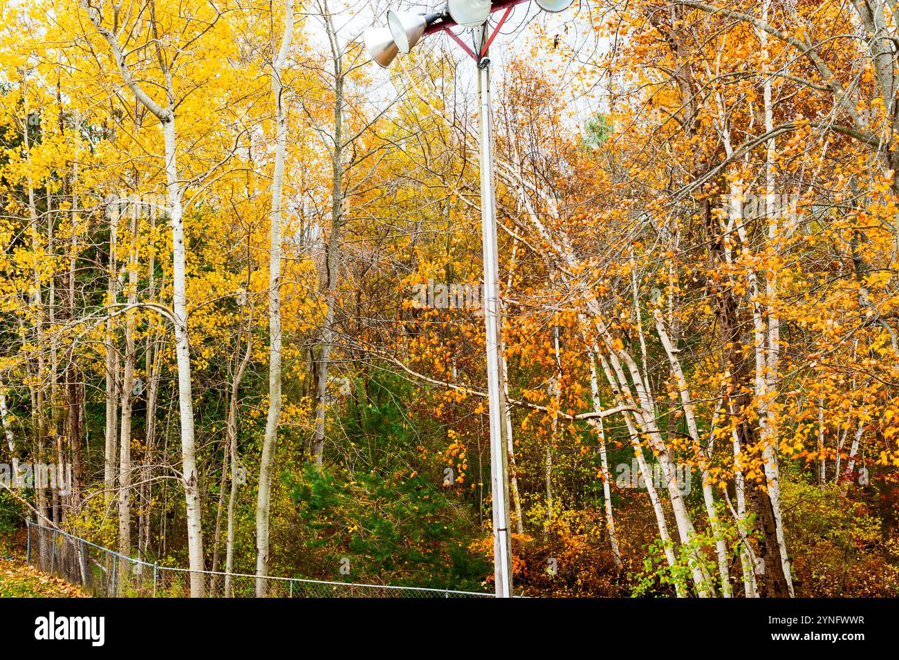 Lichtmast an der Go-Cart-Strecke im verlassenen Touristenzentrum in der Nähe von Ludington, Michigan, USA. Fotografie von Jeffrey Wickett, NorthLight Photography. Stockfoto