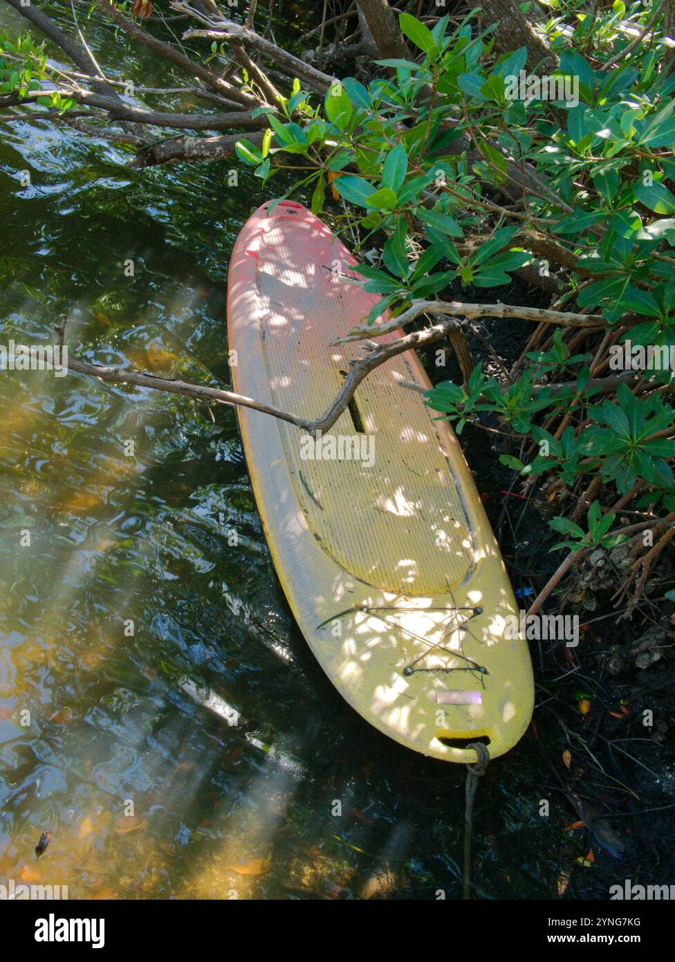 Altes verwittertes gelbes Paddleboard, das in der Nähe grüner Mangroven in flachem, blauem Wasser und grünen Bäumen im Hintergrund festgebunden ist. Sonnenschein und Schatten mit Ref Stockfoto