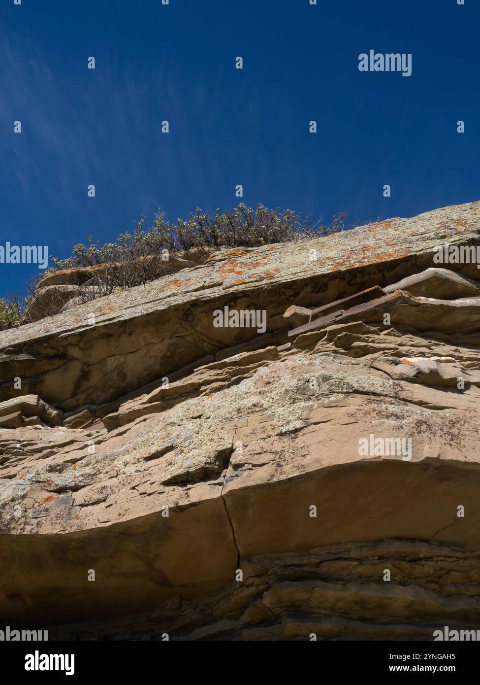 Nahaufnahme der Klippe, die von Indianern als Bisonsprung genutzt wurde und Teil des First Peoples Buffalo Jump State Park und National HIS ist Stockfoto