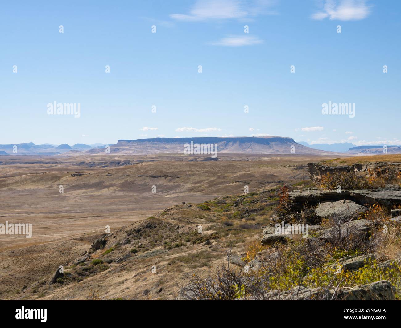 Panoramablick auf den Square Butte Mountain mit den Sandsteinklippen des First Peoples Buffalo Jump State Park im Vordergrund. Stockfoto