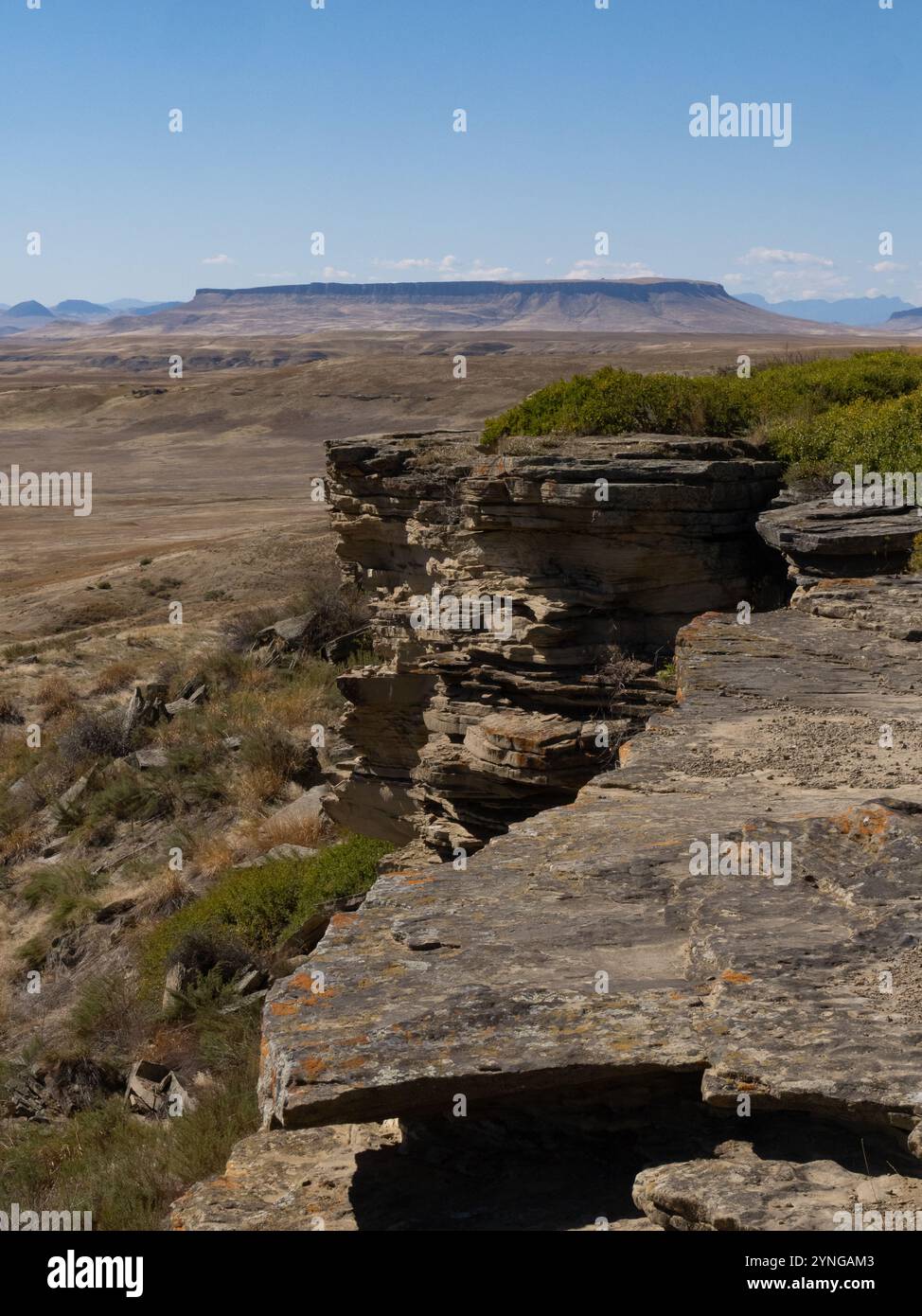 First Peoples Buffalo Jump State Park Cliff, einer der größten Bisonsprünge Nordamerikas. Quadratischer Butte befindet sich im Hintergrund. Befindet sich in Ulm, M Stockfoto
