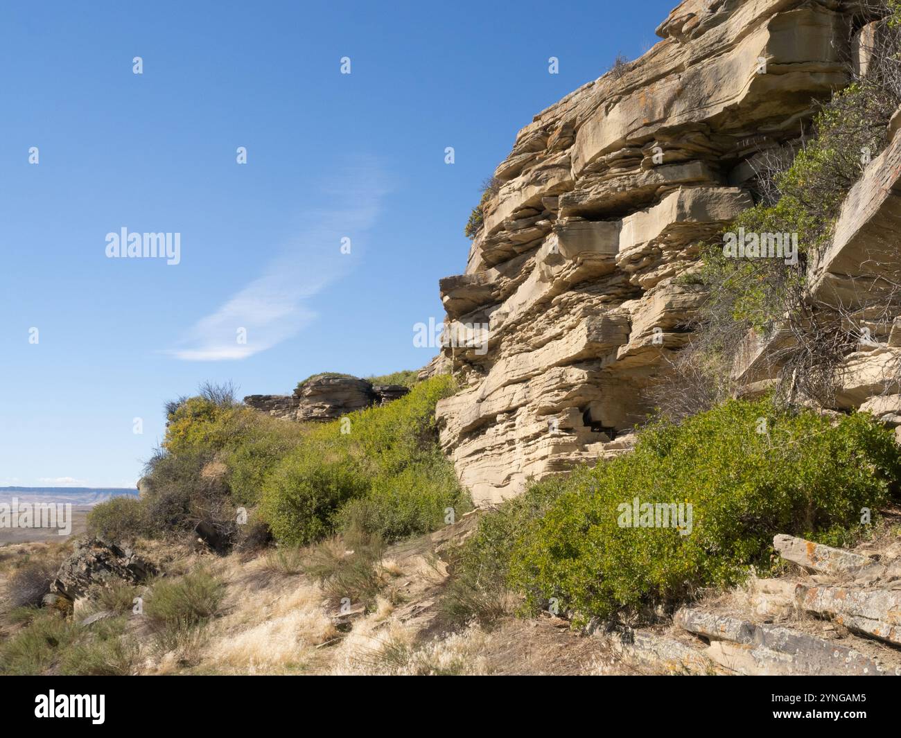 Blick auf die Klippe, die von Indianern als Bisonsprung genutzt wurde und Teil des First Peoples Buffalo Jump State Park und National Historic Lan ist Stockfoto