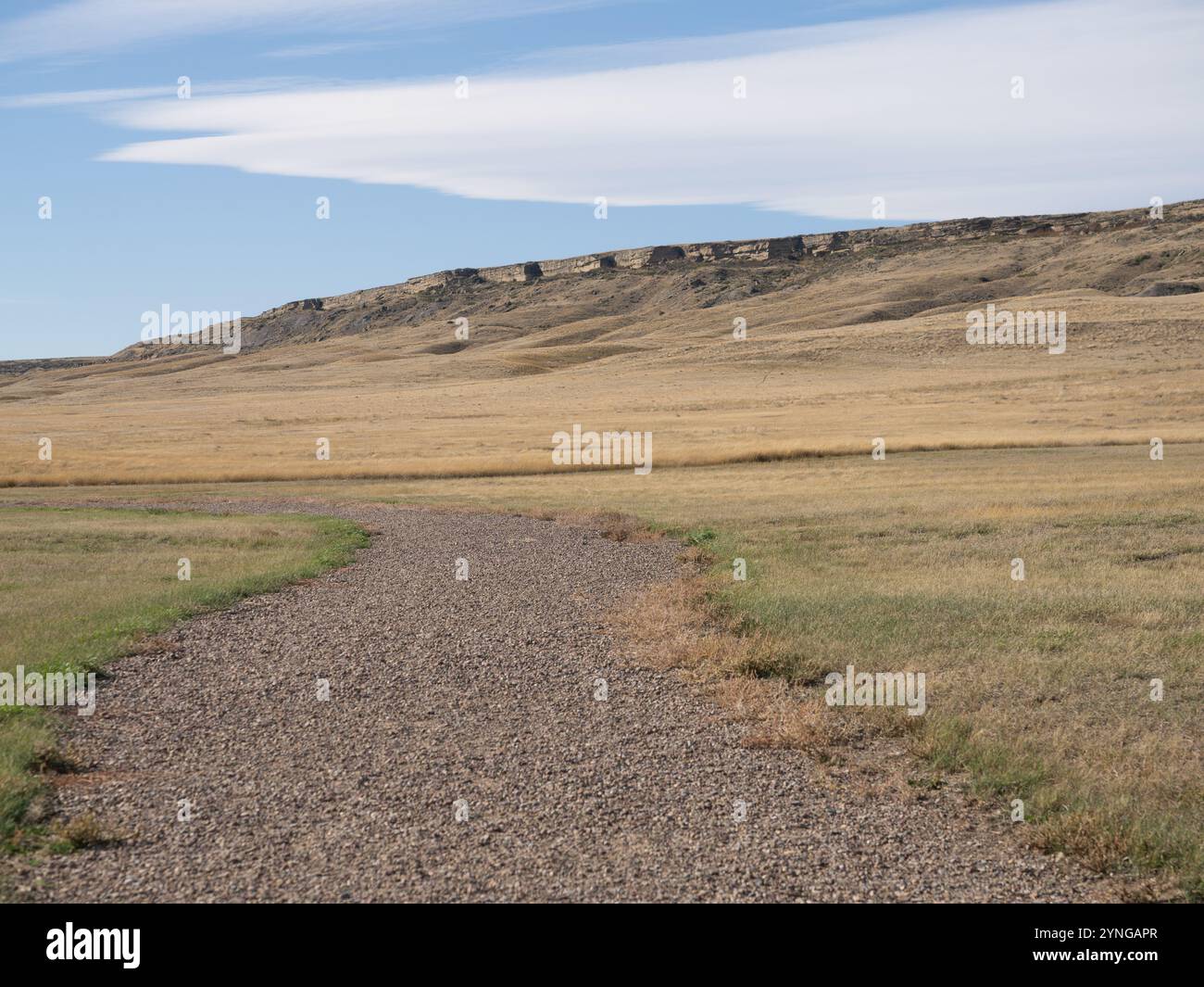 Blick auf die Sandsteinklippen des ersten Peoples Buffalo Jump in Montana mit einem Kieswanderweg im Vordergrund. Stockfoto