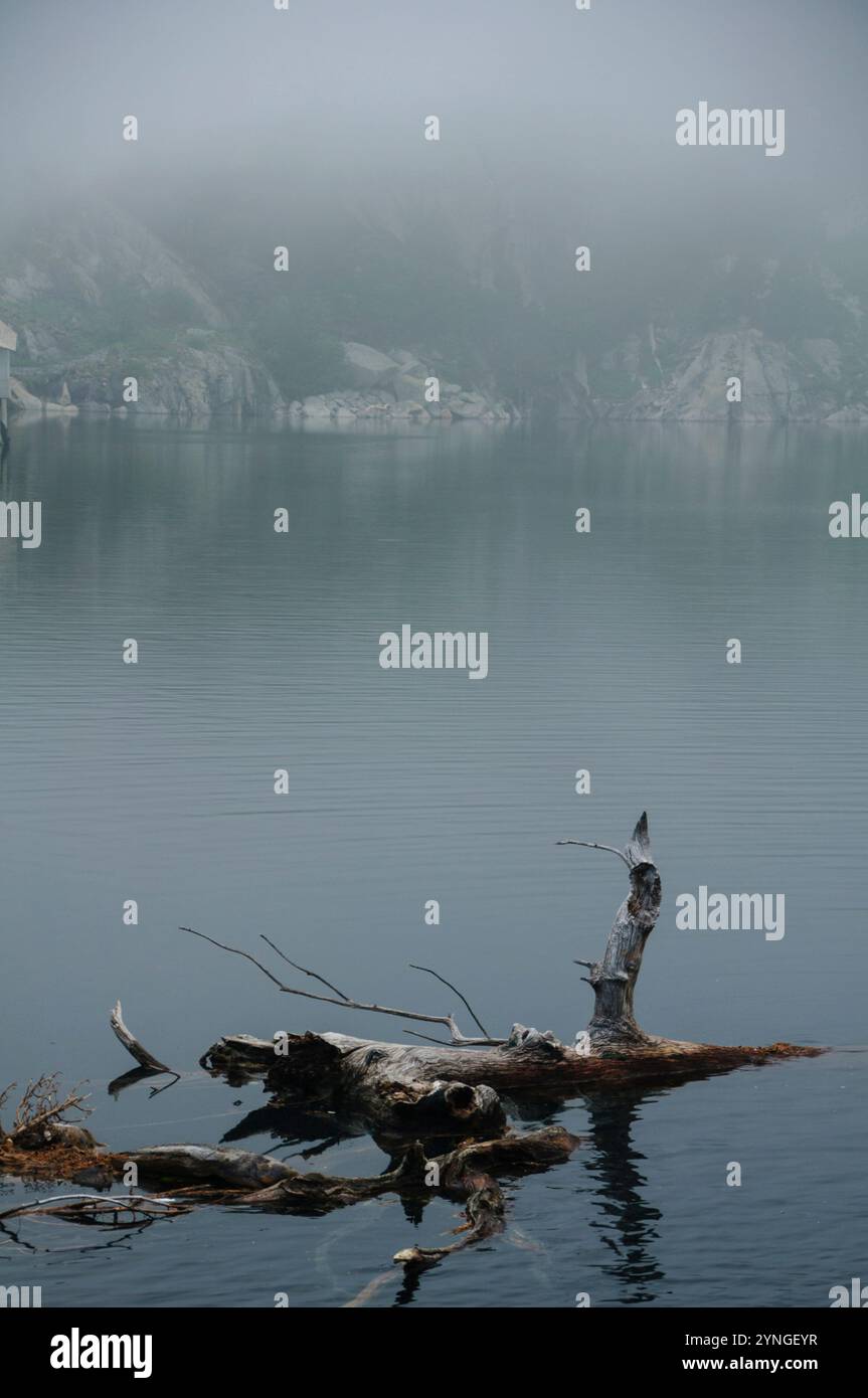 Morgennebel im Stausee Cavallers (Boí-Tal, Nationalpark Aigüestortes i Estany de Sant Maurici, Katalonien, Spanien, Pyrenäen) Stockfoto