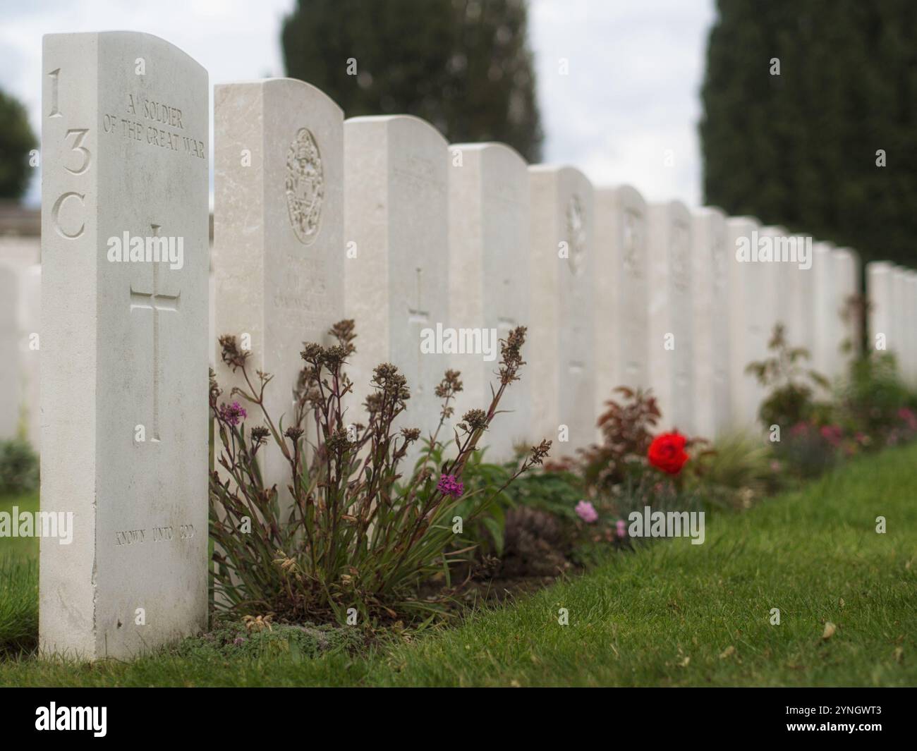 YPERN, BELGIEN - 25. MAI 2014: Grabsteine auf dem Tyne Cot Memorial Cemetery des 1. Weltkriegs in Flandern Belgien Stockfoto