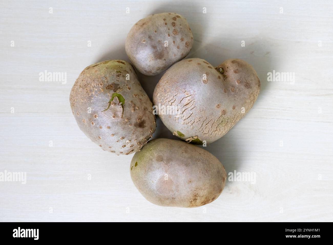 Frische lila Yamswurzel (Dioscorea alata), auch bekannt als Greater Yamswurzel, Guyana Pfeilwurzel, 10 Monate Yamswurzel, Wasser Yamswurzel, weiße Yamswurzel, oder geflügelte Yamswurst Stockfoto