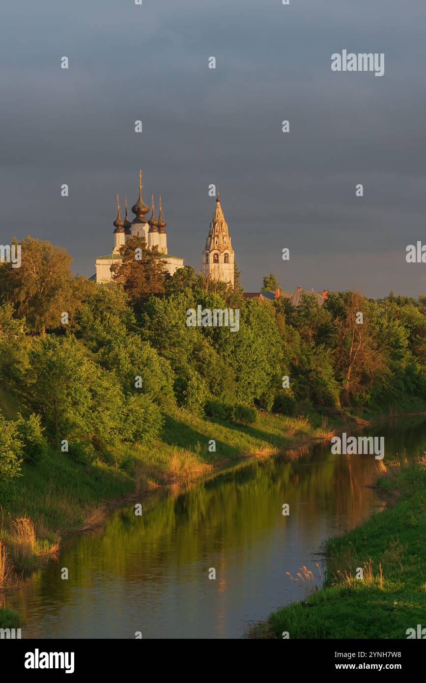 Kuppeln der orthodoxen Kirche in Susdal, Russland. Goldenen Ring von Russland. Stockfoto