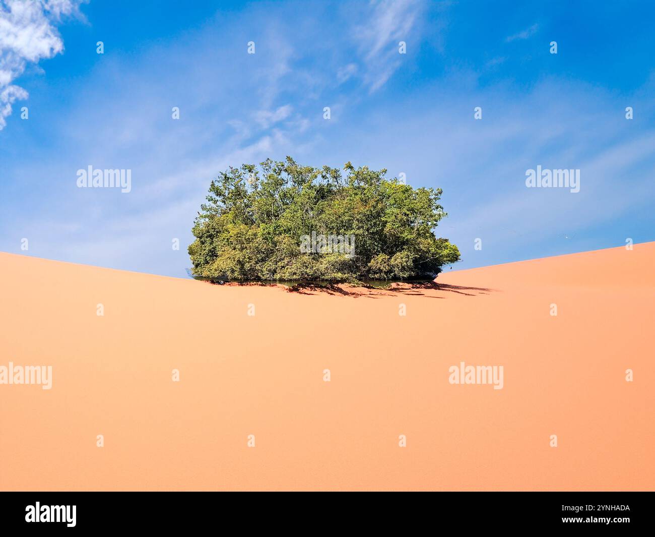 Isolierte grüne Insel, Symbol für Widerstandsfähigkeit und Überwindung Stockfoto