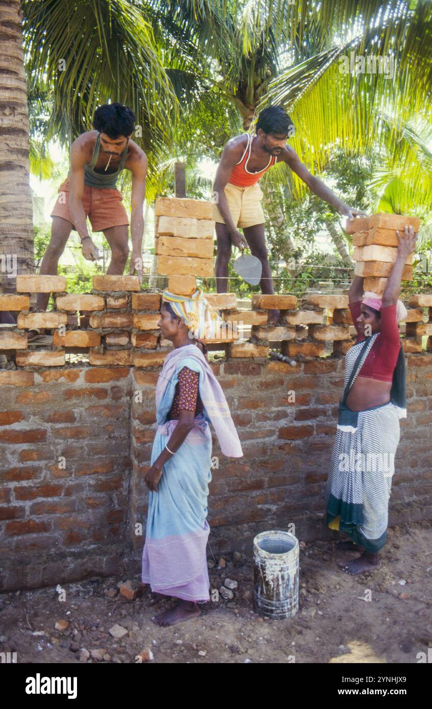 Indien, Bombay, Frauen bringen Ziegelsteine zu Mauern, die eine Mauer legen. Stockfoto