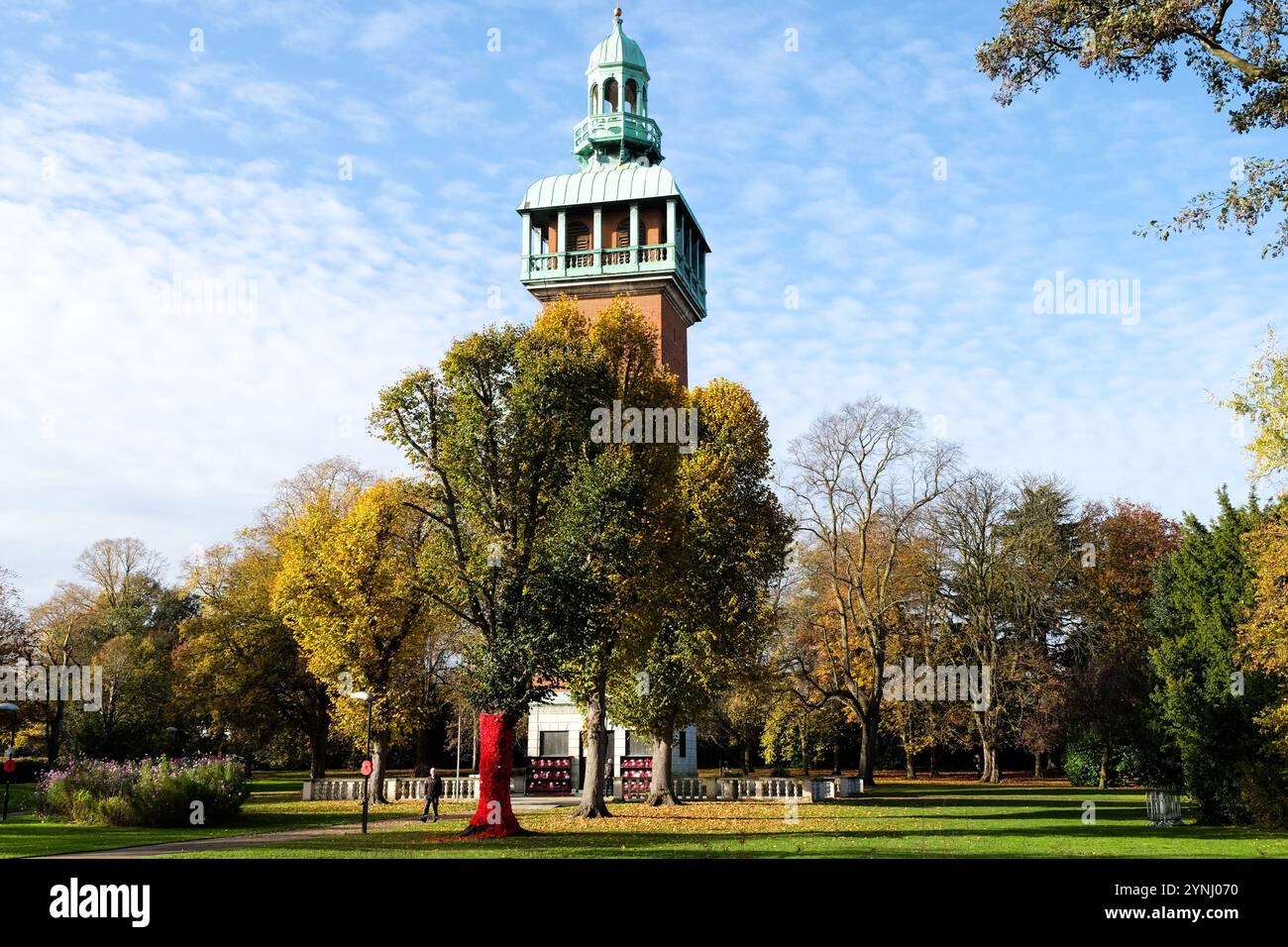 Baum bedeckt mit gestricktem Mohn im Queens Park loughborough Stockfoto