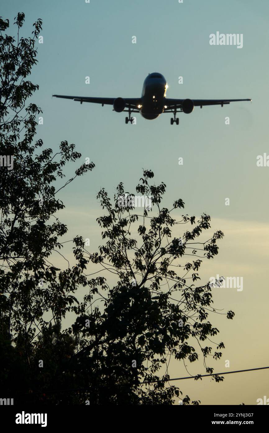 Sunset Flugzeug Sundown Flugzeug Twilight Flugzeug Dämmerung Jet Abend in der Nacht kommendes Flugzeug landet über Baum Stockfoto