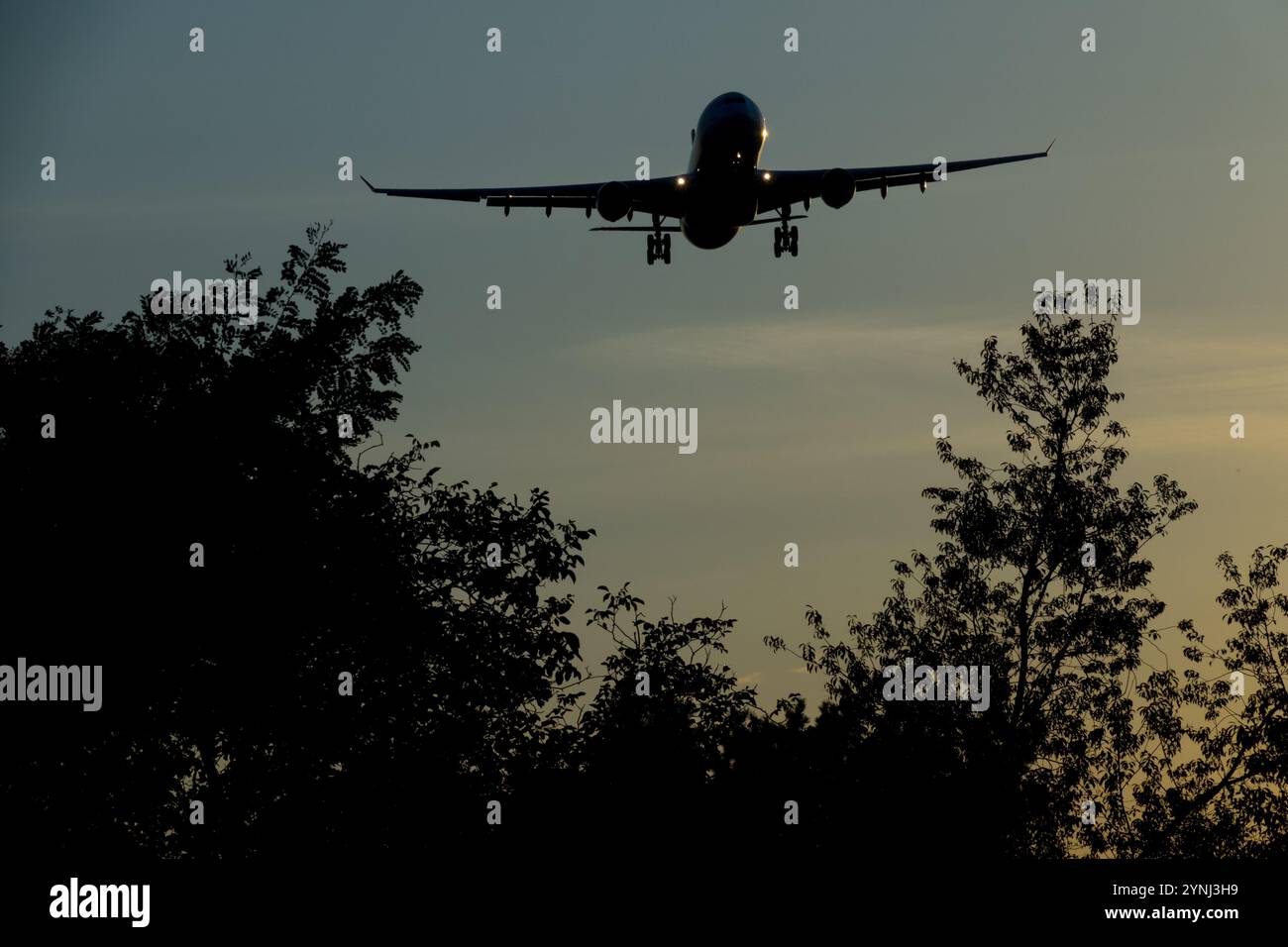 Flugzeug Flugzeug Landung Flugzeug Nähert Sich Flugzeug Jetliner Passagierflugzeug Annäherungsflug Flug Sonnenuntergang Sonnenuntergang Dämmerung Dunkelheit Über Bäumen Stockfoto