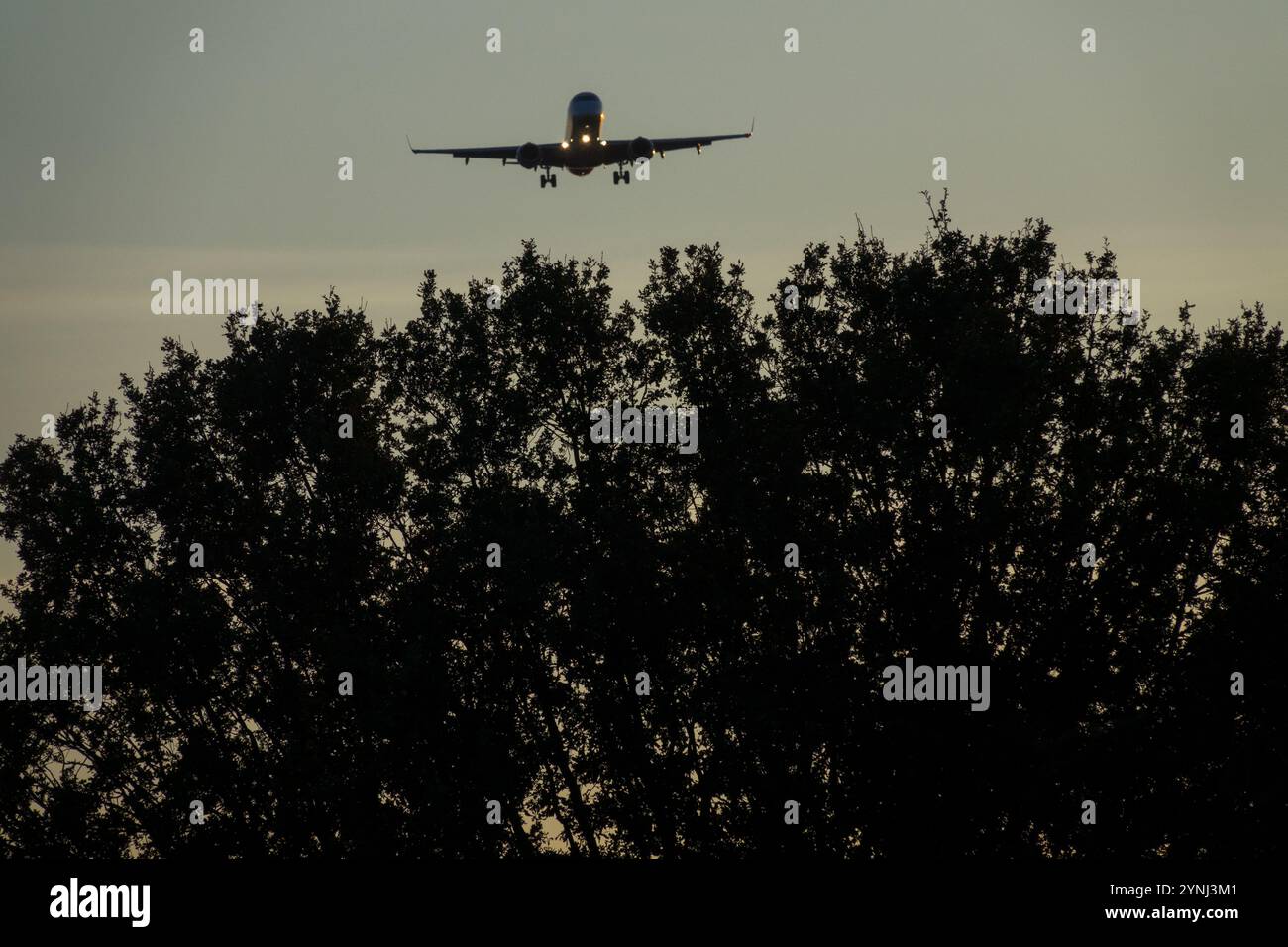 Flugzeug fliegendes Flugzeug über Bäumen Flugzeugflugzeug Jetliner Passagier Jet Airliner Anflug auf Berlin Sonnenuntergang Sonnenuntergang Dämmerung Abend Stockfoto