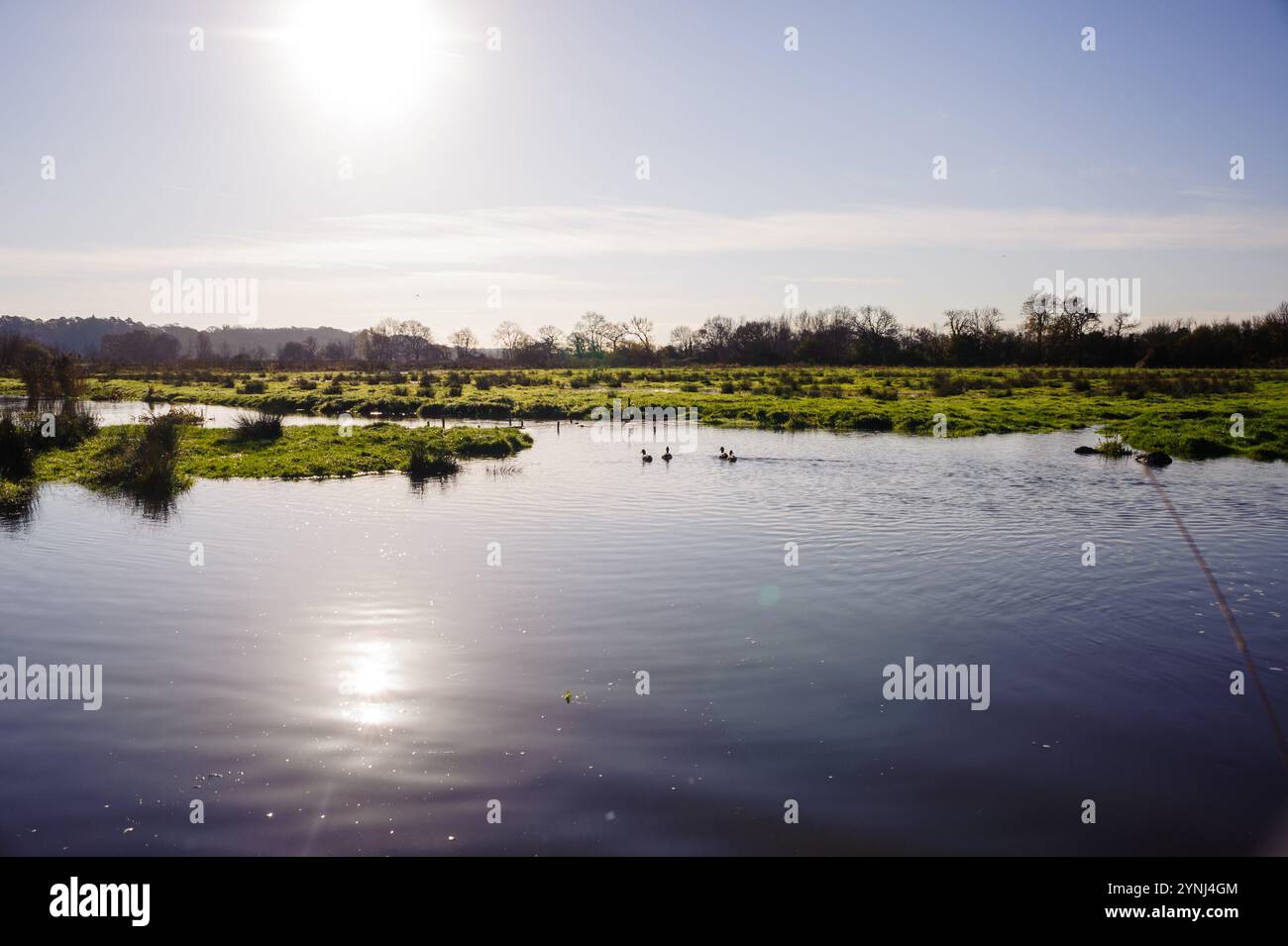 Avon Valley, Fordingbridge, Hampshire, Vereinigtes Königreich, 26. November 2024, Wetter: blauer Himmel und Sonnenschein, aber der Wasserstand steigt nach starkem Regen vom Sturm Bert immer noch auf Ackerland und im nahegelegenen Fluss Avon. Paul Biggins/Alamy Live News Stockfoto