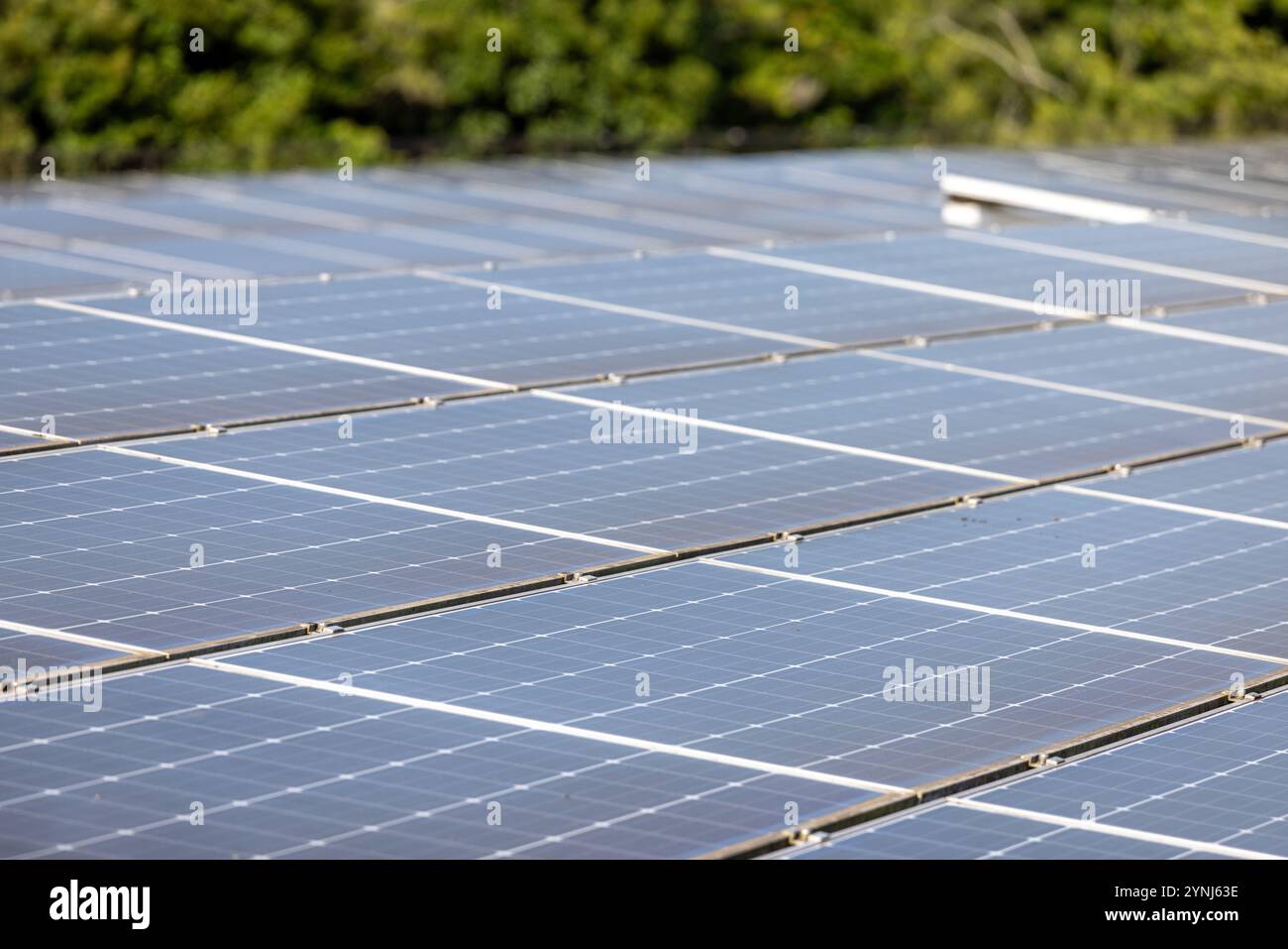 Sonnenkollektoren in einer Farm für erneuerbare Energien Stockfoto