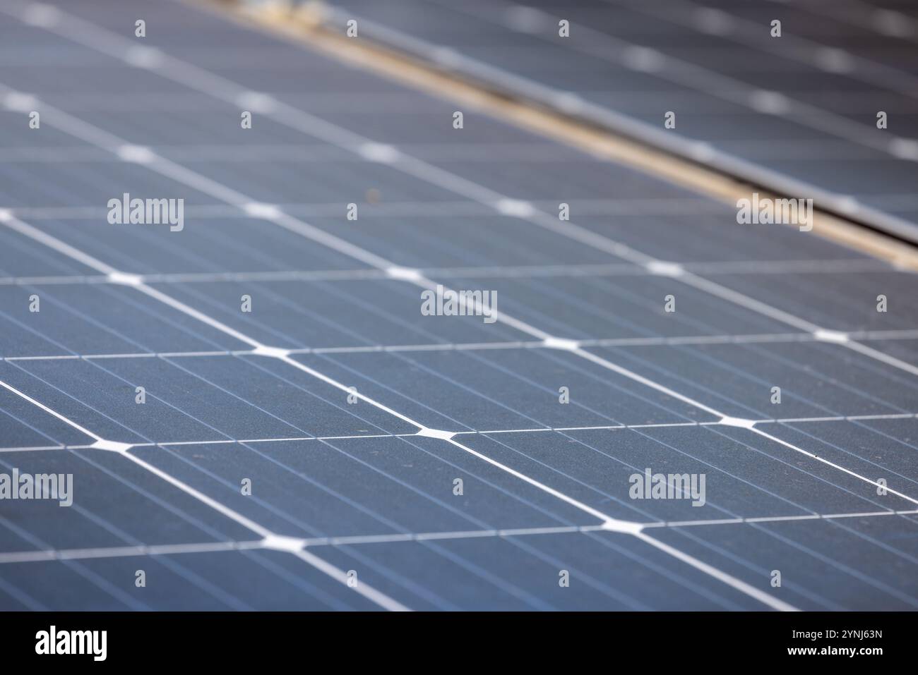 Nahaufnahme von Solarpaneelen für erneuerbare Energien Stockfoto