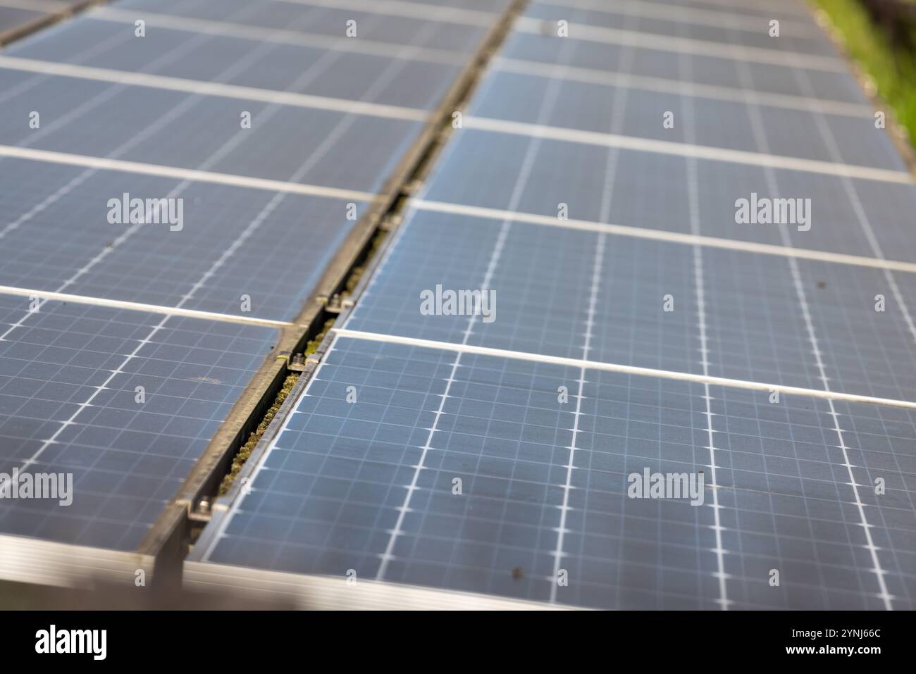 Nahaufnahme von Solarpaneelen, die nachhaltige Energie erfassen Stockfoto