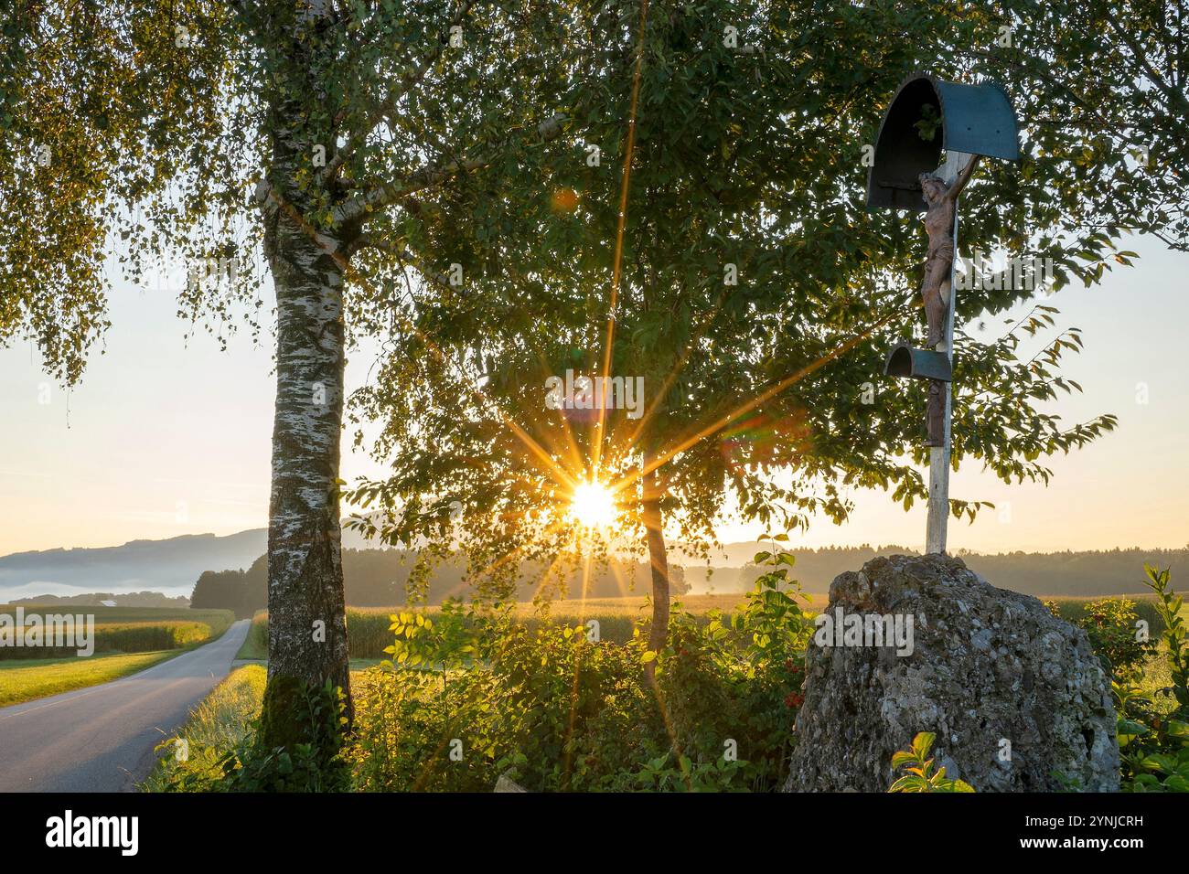 Sonnenaufgang am Wegkreuz zwischen Abtsdorf und Gastag in der Gemeinde Saaldorf - Berchtesgadener Land / RupertiwinkelErrichet wurde das Kreuz im Jahr Stockfoto